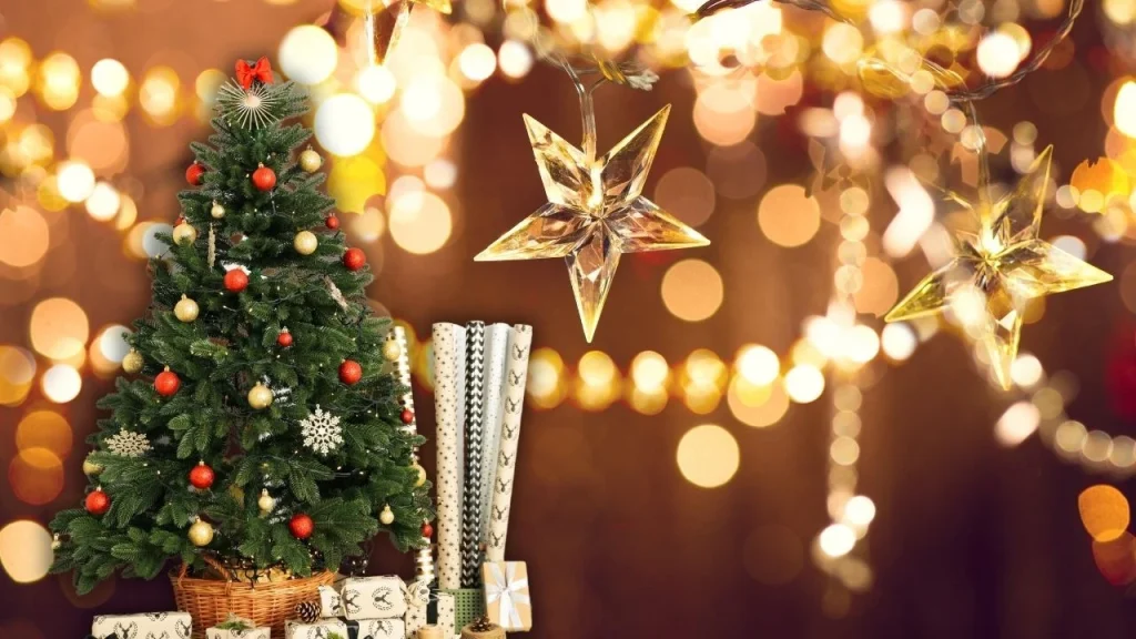 Grbets Güncel Adres, Sorunlar ve Çözümler